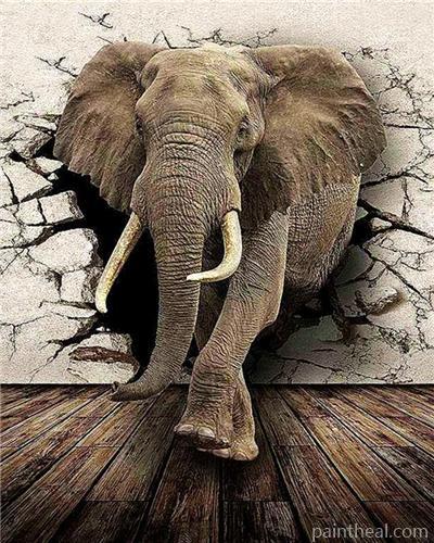 Elephant Breaking The Wall Painting By Numbers Kits