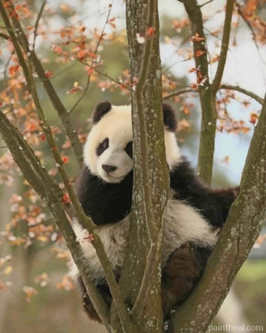 Panda On A Tree Painting By Numbers Kits