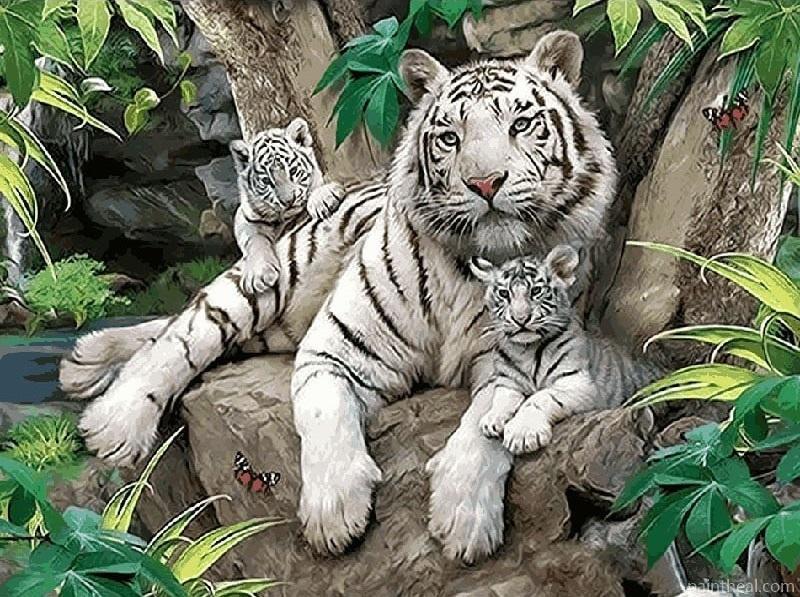 White Tiger Family Painting By Numbers Kits