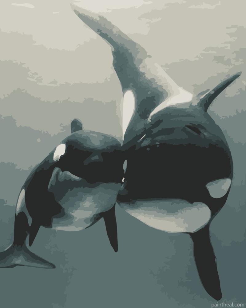 Whales Underwater Painting By Numbers Kits