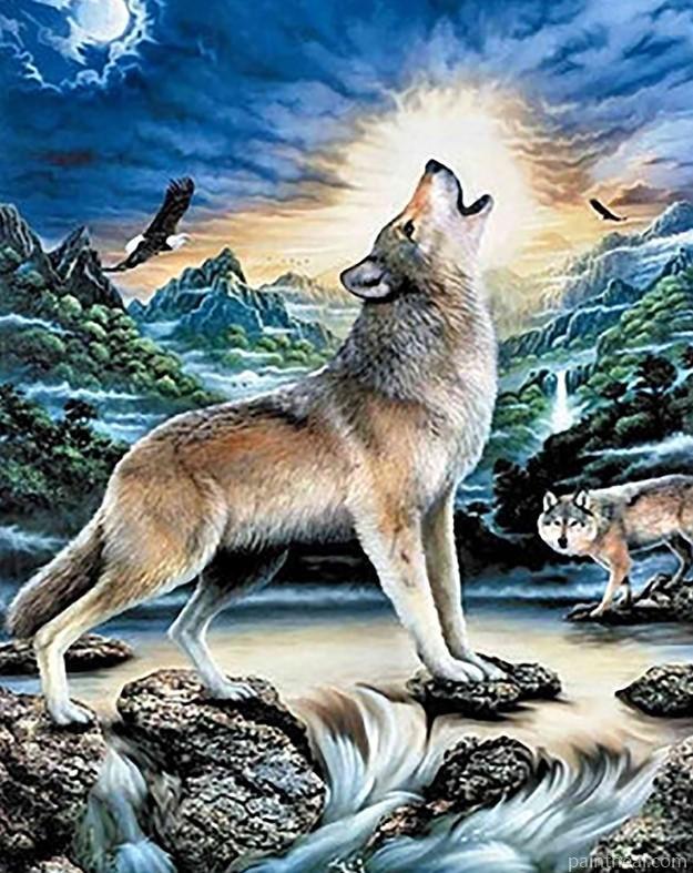 Lone Wolf Howling Painting By Numbers Kits