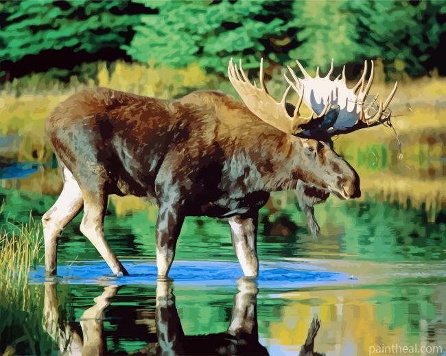 Bull Moose Water Painting By Numbers Kits