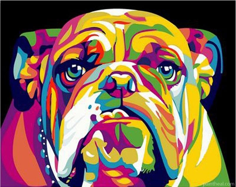 Colorful Bulldog Painting By Numbers Kits