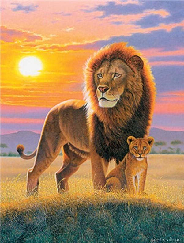 Lion And The Cub In Wild Painting By Numbers Kits