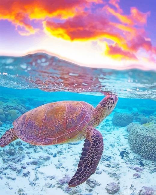 Ocean Turtle Painting By Numbers Kits