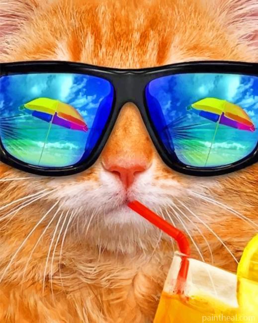 Cat Enjoying The Summer Painting By Numbers Kits