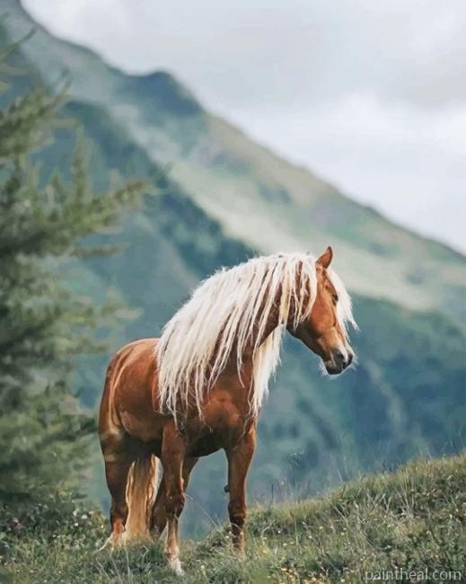 Horse In The Forest Painting By Numbers Kits