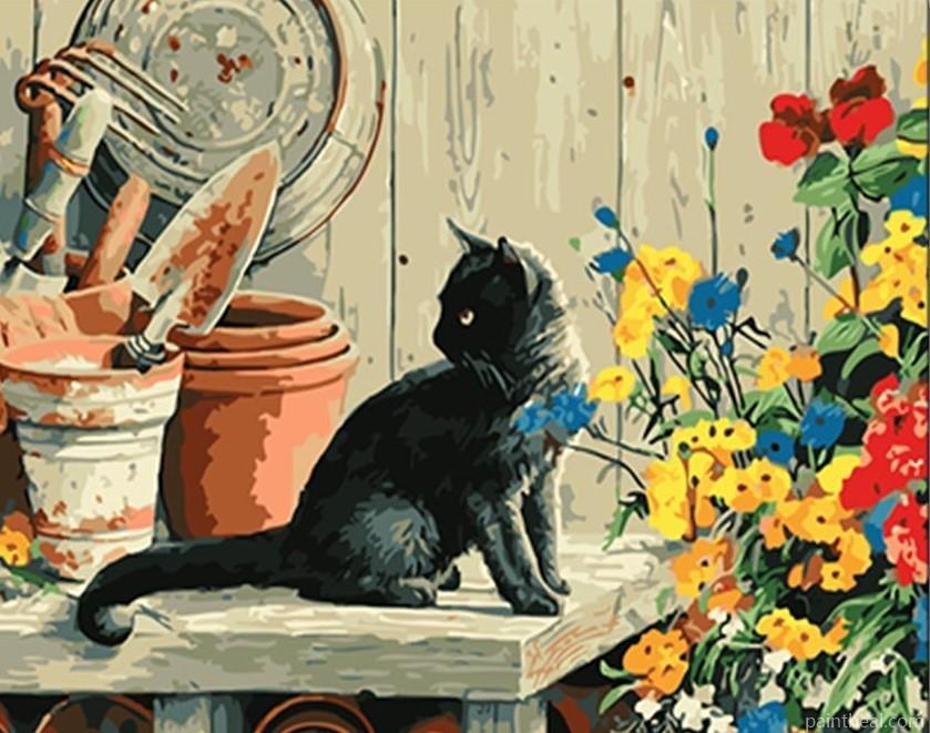 Black Cat On Table Painting By Numbers Kits