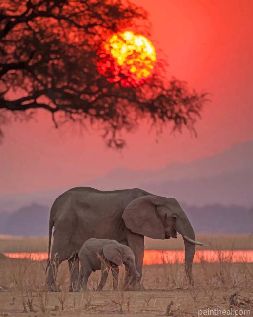 African Safari Elephants Painting By Numbers Kits