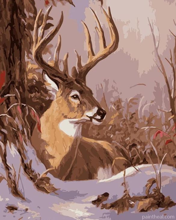 Buck In The Snow Painting By Numbers Kits