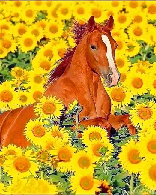 Horse In Sunflowers Painting By Numbers Kits