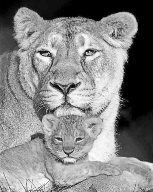 Lioness And Cub Painting By Numbers Kits