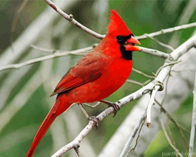 Northern Cardinal Alan Schmierer- Paint By Number Painting By Numbers Kits