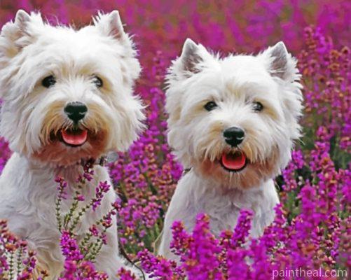 Cute West Highland Terriers Painting By Numbers Kits