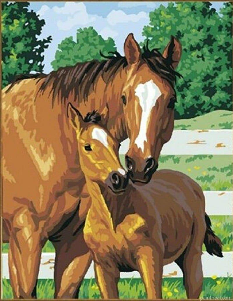 Horse With Foal (Mothers Pride) Painting By Numbers Kits
