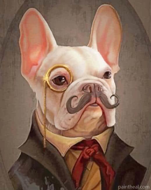 Classy Bulldog Painting By Numbers Kits