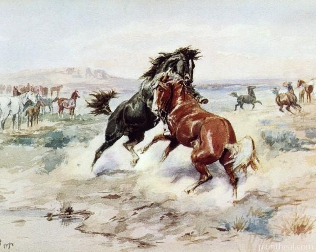 Challenge Between Horses Painting By Numbers Kits