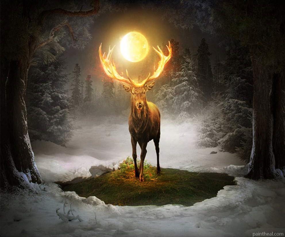 Deer Full Moon Light Painting By Numbers Kits