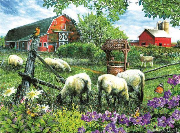 Sheep In Farm Painting By Numbers Kits