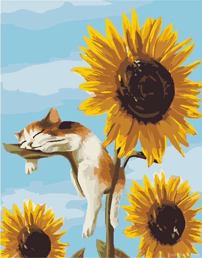 Sleepy Cat On Sunflower Painting By Numbers Kits