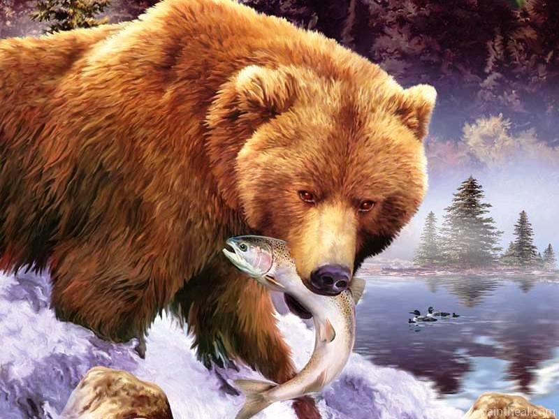 bear hunted a fish Painting By Numbers Kits