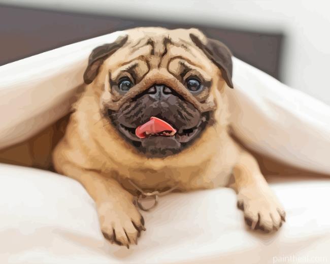 Pug Dog Pet Painting By Numbers Kits