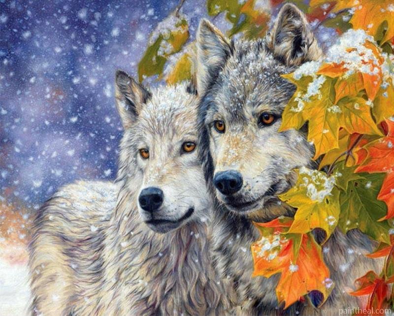 Snow Wolves Couple Painting By Numbers Kits