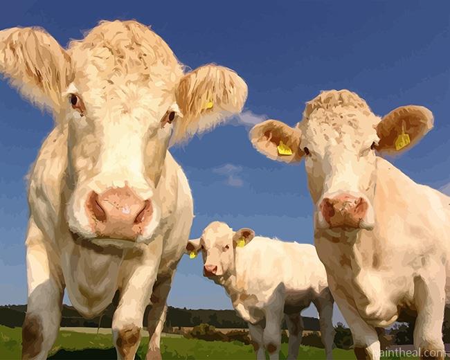 White Cows Painting By Numbers Kits