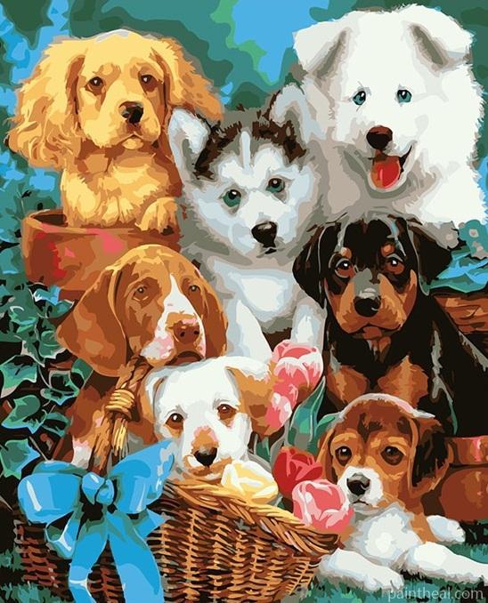 Puppies Dogs Painting By Numbers Kits