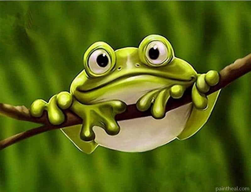 Frog On Branch Painting By Numbers Kits