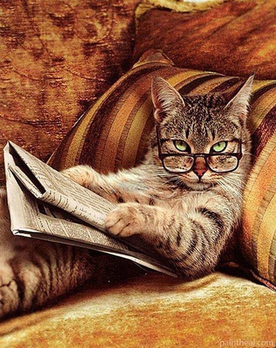 Cat Reading Newspaper Painting By Numbers Kits
