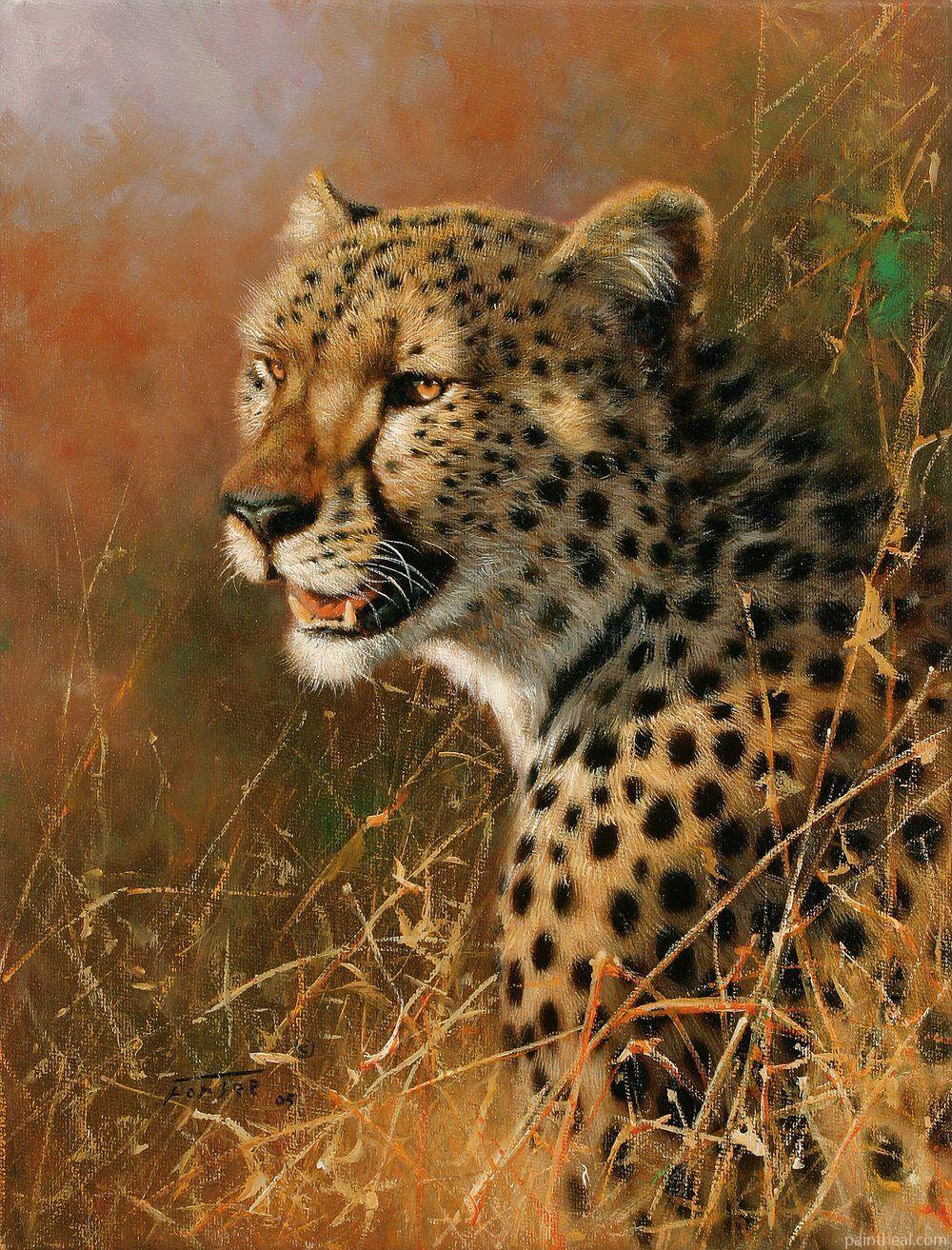 African Cheetah Painting By Numbers Kits