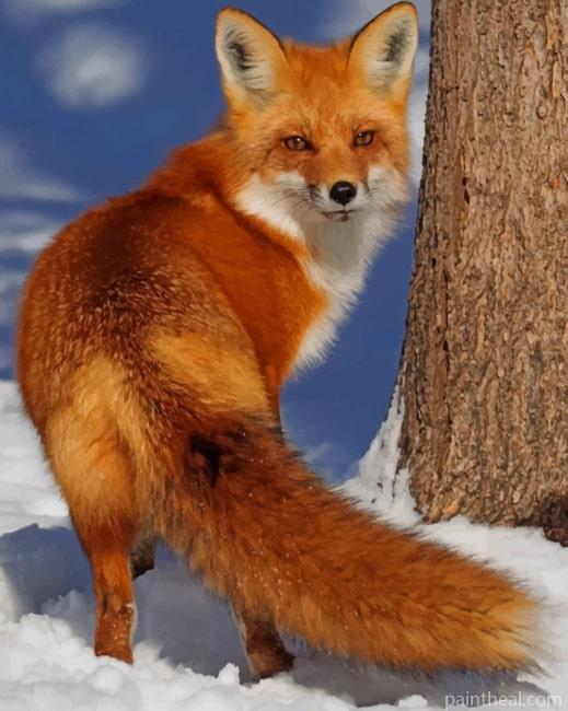 Red Fox In The Snow Painting By Numbers Kits
