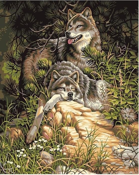 Wild Wolves In Forest Painting By Numbers Kits