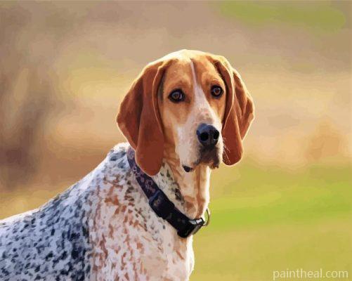 Aesthetic Coonhound Dog Painting By Numbers Kits