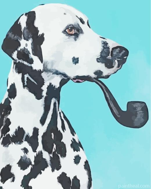 Dalmatian Smoking Pipe Painting By Numbers Kits