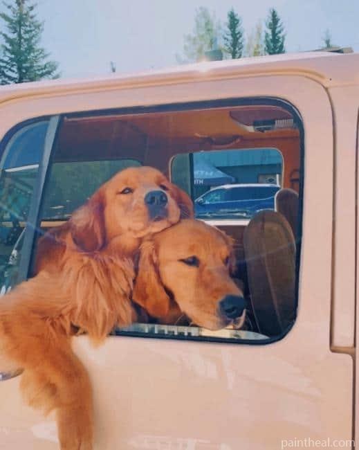 Puppies In Car Painting By Numbers Kits