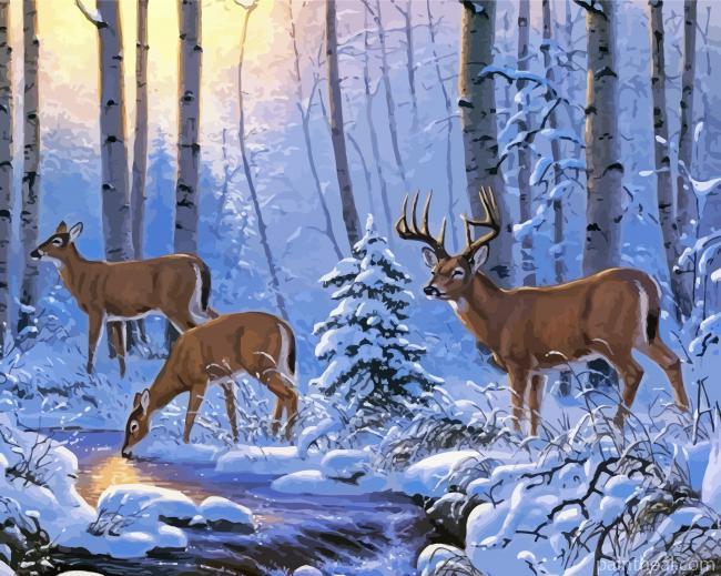 White Tailed Deer In Snow Painting By Numbers Kits