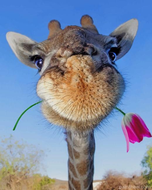Giraffe Holding Flower Painting By Numbers Kits