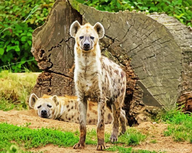Wild Hyenas Painting By Numbers Kits