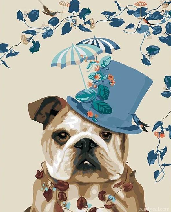 Dog With Blue Hat Painting By Numbers Kits