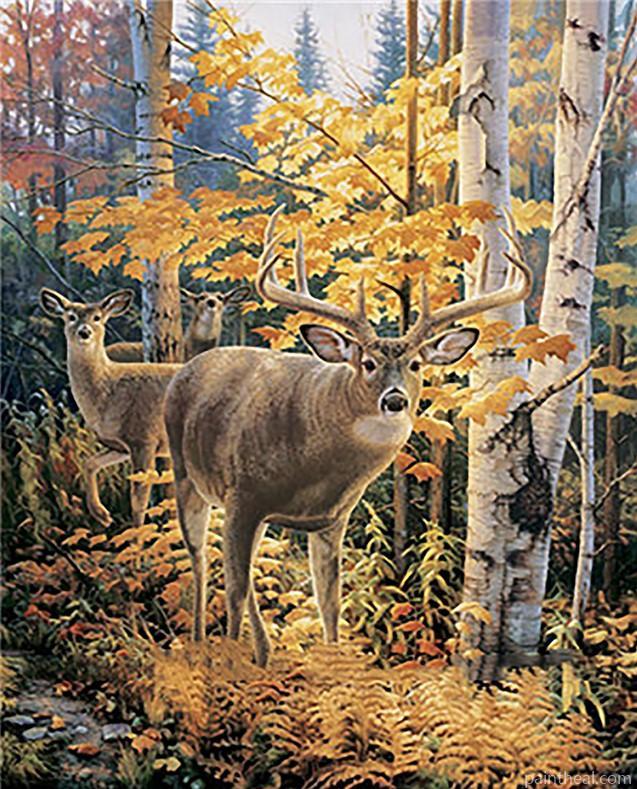 Autumn Forest Deers Painting By Numbers Kits