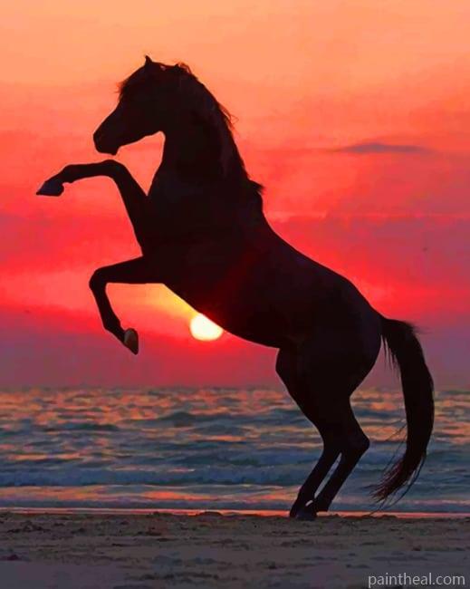 Horse Silhouette In The Beach Painting By Numbers Kits