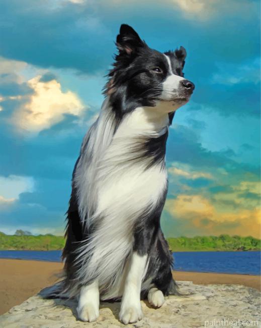 Aesthetic Border Collie Painting By Numbers Kits