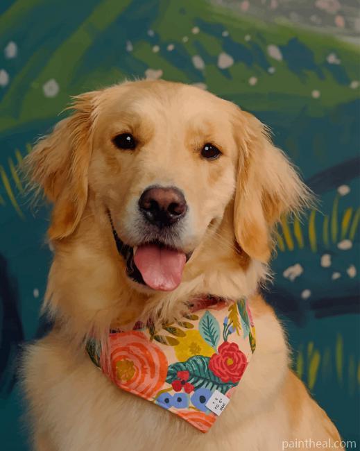 Dog Wearing Scarf Painting By Numbers Kits