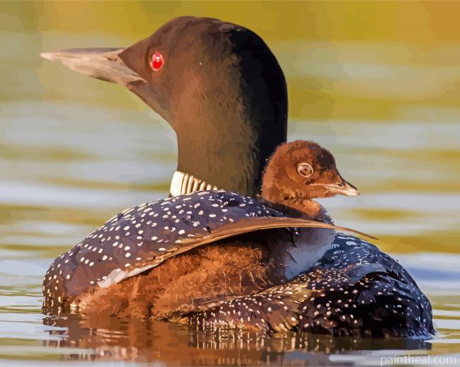 Loons Bird Painting By Numbers Kits