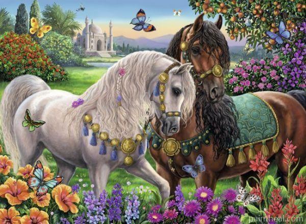Royal Horses Painting By Numbers Kits