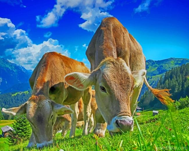 Cows Eating Grass Painting By Numbers Kits