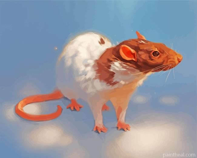 White Brown Rat Painting By Numbers Kits