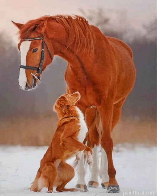 Brown Horse And Dog Painting By Numbers Kits